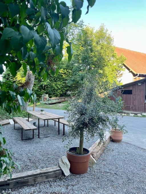 Zauberhafte Ferienscheune Im Hofgut Alte Oelmuehle Енген Екстер'єр фото
